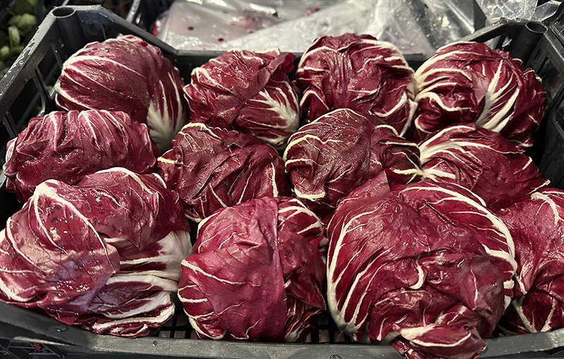 Radicchio tondo - Italia - 1,50/1,70 euro al chilogrammo